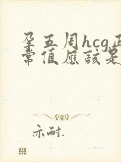 孕五周hcg正常值应该是多少