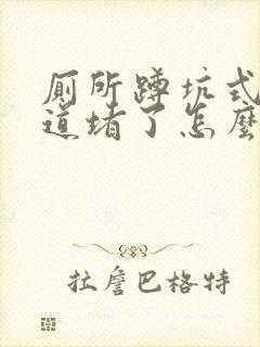 厕所蹲坑式下水道堵了怎么办