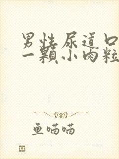 男性尿道口长了一颗小肉粒