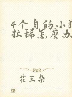 4个月的小狗狗拉稀怎么办