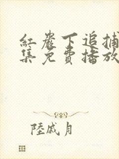 红岩下追捕40集免费播放视频