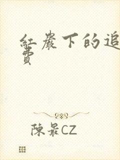 红岩下的追捕免费