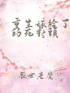 重生嫁给了渣男的死对头