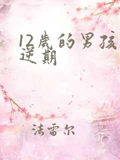 12岁的男孩叛逆期