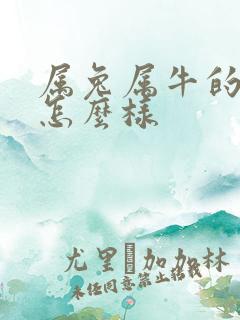 属兔属牛的婚姻怎么样