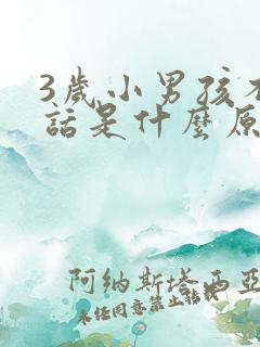 3岁小男孩不说话是什么原因