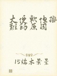 大便软但排便困难的原因