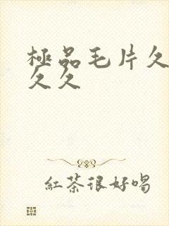 极品毛片久久久久久