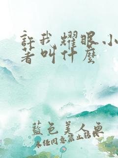 许我耀眼小说原著叫什么