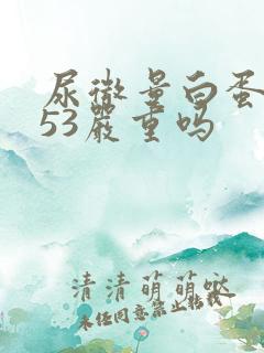 尿微量白蛋白高53严重吗