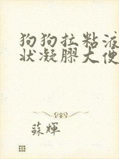 狗狗拉粘液果冻状凝胶大便