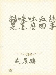 猫咪吐血丝粘液是怎么回事