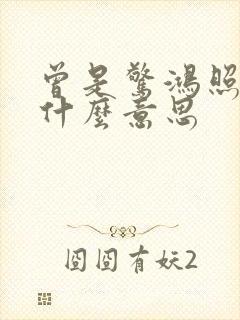 曾是惊鸿照影来什么意思