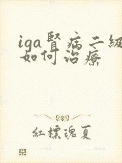 iga肾病二级如何治疗