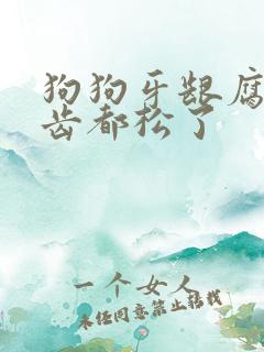 狗狗牙龈腐烂牙齿都松了