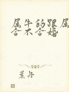 属牛的跟属马的合不合婚