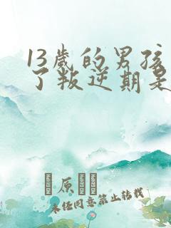 13岁的男孩到了叛逆期是怎么教