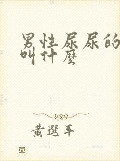 男性尿尿的地方叫什么