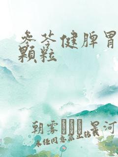 参苓健脾胃脾 颗粒