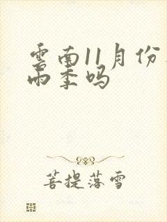 云南11月份是雨季吗