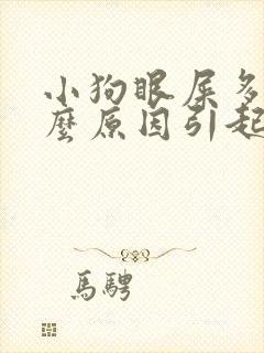 小狗眼屎多是什么原因引起的