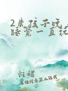 2岁孩子晚上不睡觉一直玩