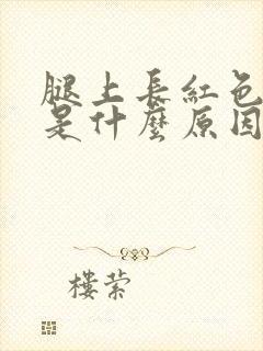 腿上长红色斑点是什么原因