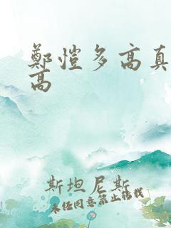 郑恺多高真实身高