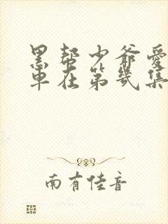 黑帮少爷爱上我车在第几集