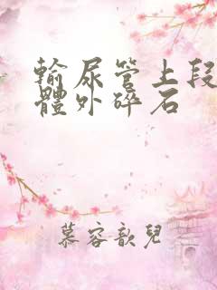 输尿管上段结石体外碎石