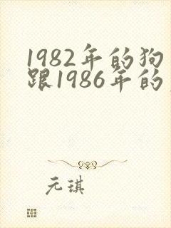 1982年的狗跟1986年的虎相配吗