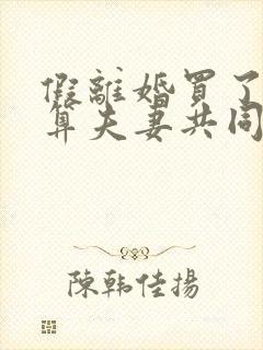 假离婚买了房子算夫妻共同财产吗