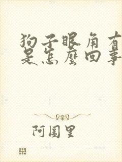 狗子眼角有泪痕是怎么回事