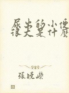 尿出的小便味道很大是什么原因