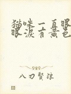 猫咪一直眼睛流眼泪有黄色的