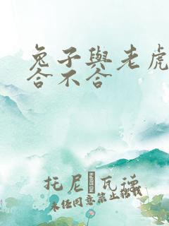 兔子与老虎属相合不合