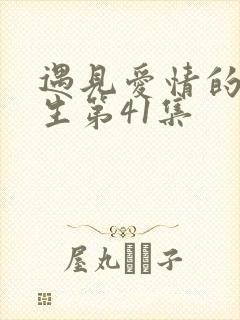 遇见爱情的利先生第41集