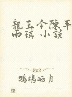 龙王令陈平,苏雨琪 小说