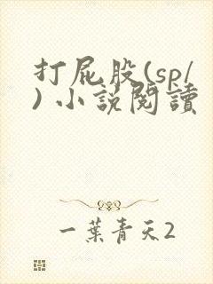 打屁股(sp/) 小说阅读