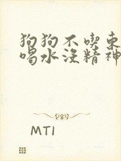 狗狗不吃东西不喝水没精神想趴着