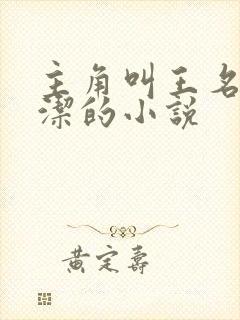 主角叫王名浩李洁的小说