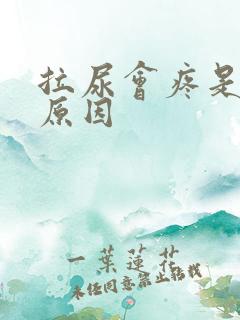 拉尿会疼是什么原因