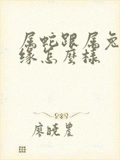 属蛇跟属兔的姻缘怎么样