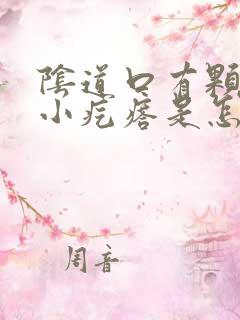 阴道口有颗粒的小疙瘩是怎么回事