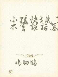 小孩快3岁了还不会说话怎么办