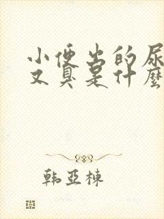 小便出的尿又黄又臭是什么原因