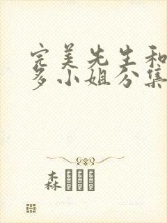 完美先生和差不多小姐分集介绍