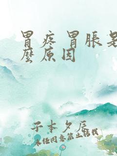 胃疼 胃胀是什么原因