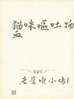 猫咪呕吐物里带血