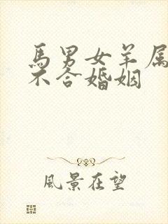 马男女羊属相合不合婚姻